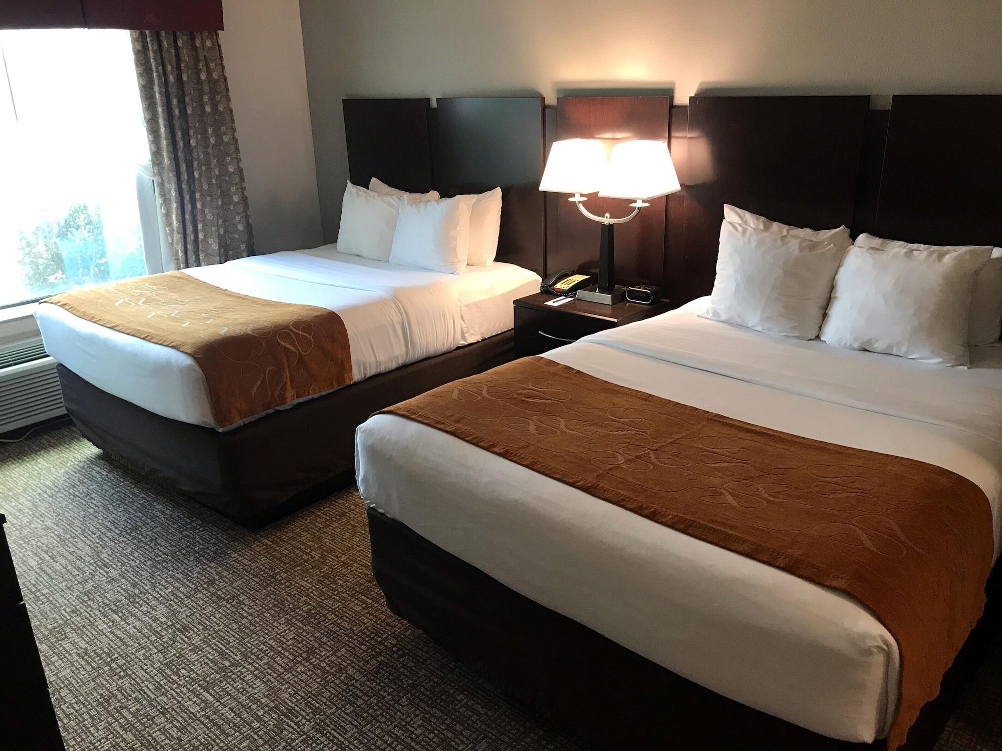 Comfort Bay City